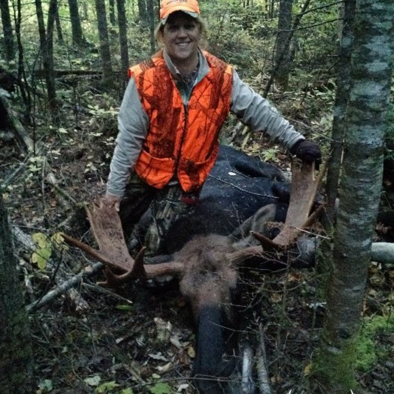 moose harvest by Staci Warren