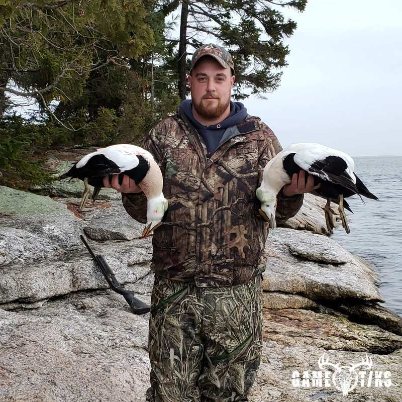 waterfowl harvest by Marsh River Outfitters