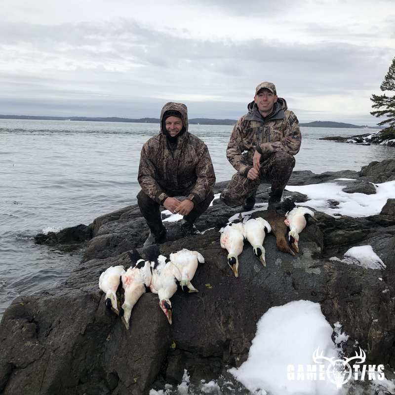 waterfowl harvest by Bold Coast Outfitters
