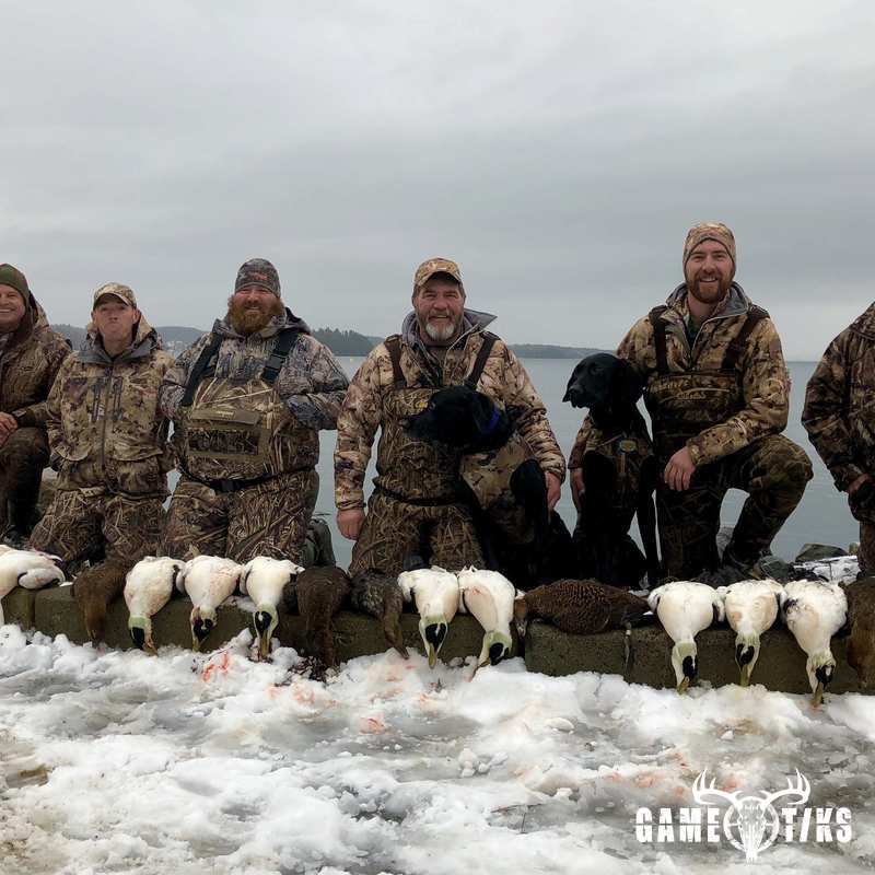 waterfowl harvest by Bold Coast Outfitters