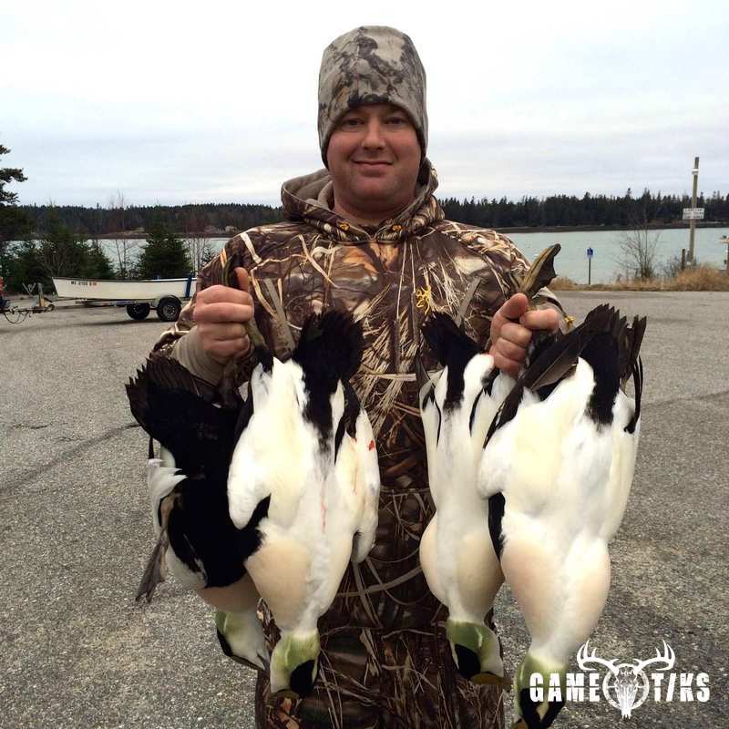 waterfowl harvest by Bold Coast Outfitters