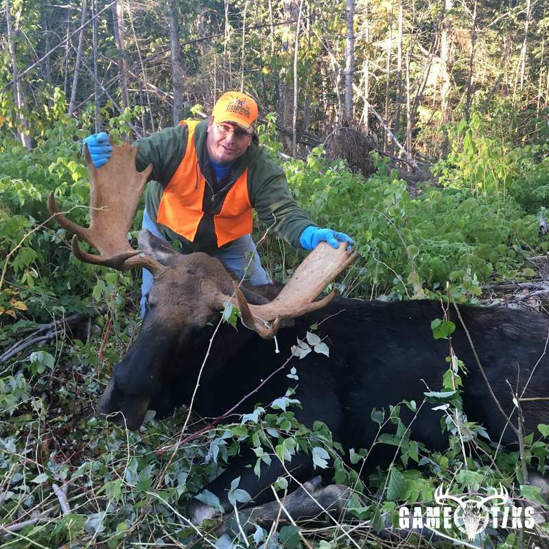 moose harvest by Dudley Brook Guide Service