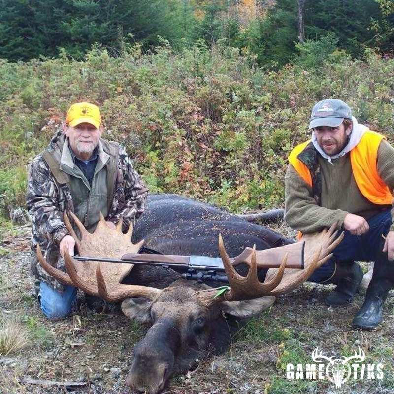 moose harvest by Dudley Brook Guide Service