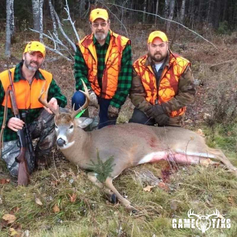 deer harvest by Dudley Brook Guide Service