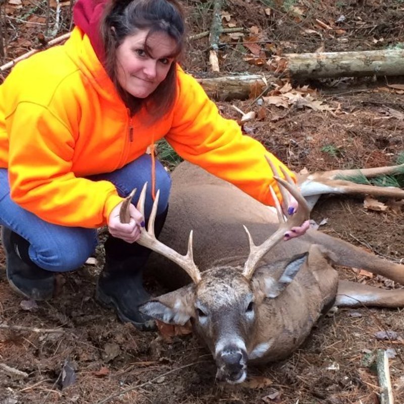 deer harvest by Tammy Turner