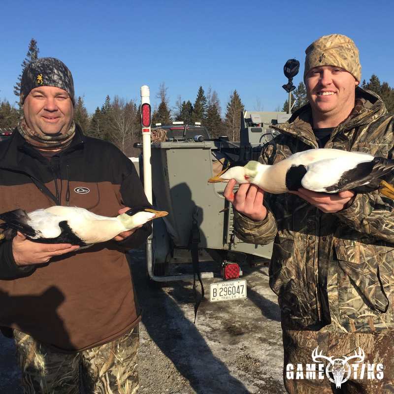 waterfowl harvest by Bold Coast Outfitters