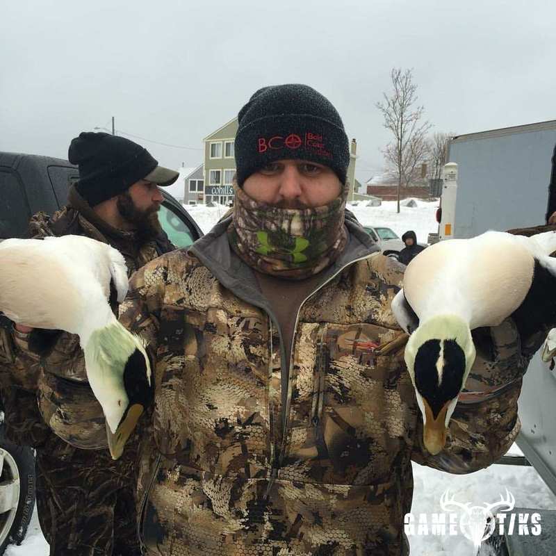 waterfowl harvest by Bold Coast Outfitters