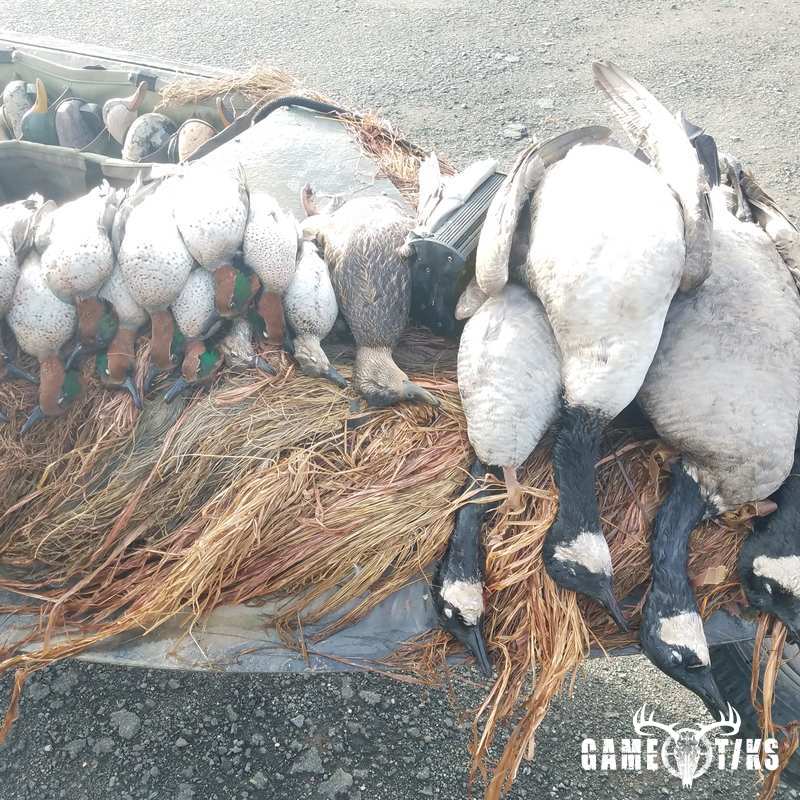 waterfowl harvest by The RiverRats Waterfowl Hunting