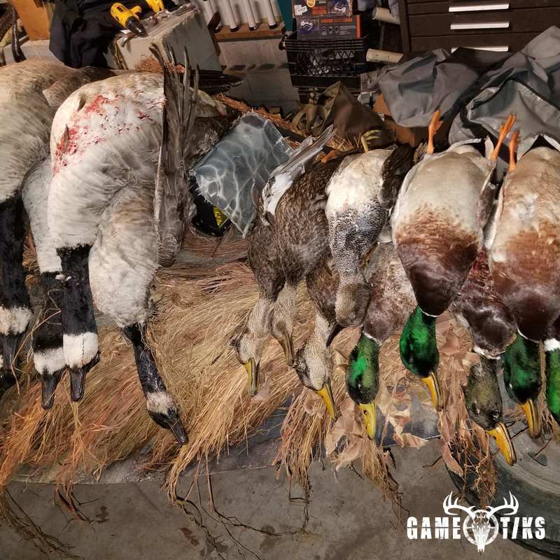 waterfowl harvest by The RiverRats Waterfowl Hunting
