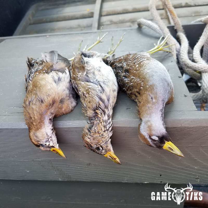waterfowl harvest by The RiverRats Waterfowl Hunting