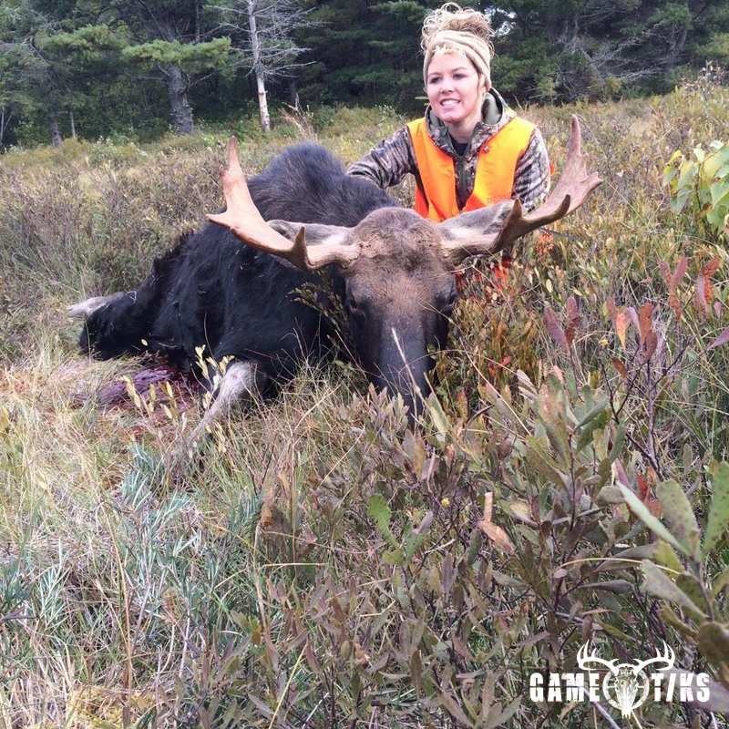 moose