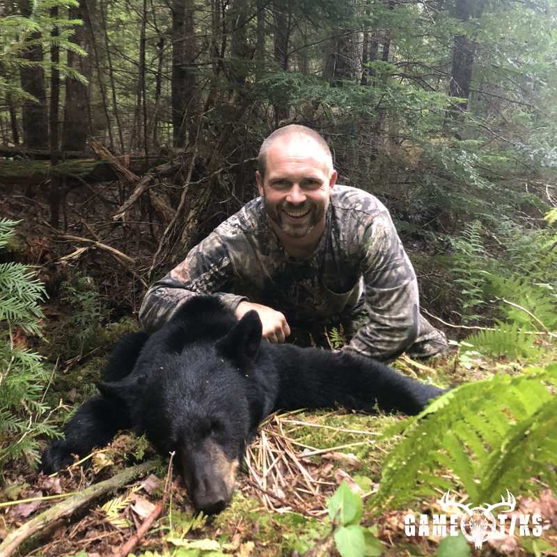 bear harvest by Briar Run