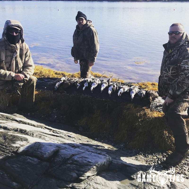 waterfowl harvest by Maine Experience Guide Service