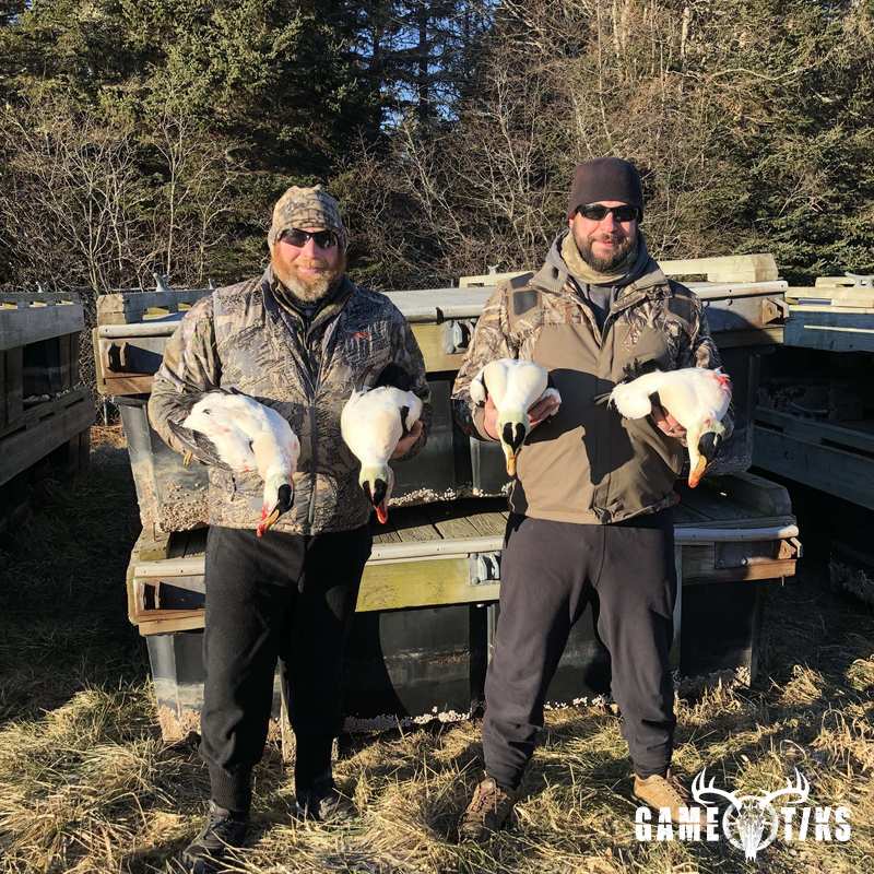 waterfowl harvest by Bold Coast Outfitters