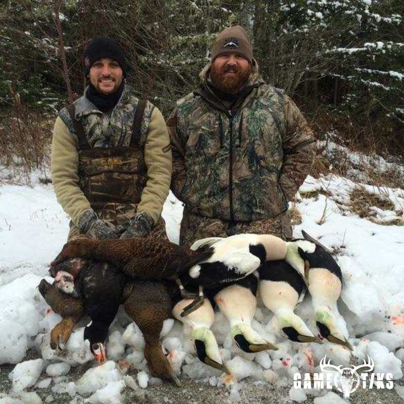 waterfowl harvest by Bold Coast Outfitters