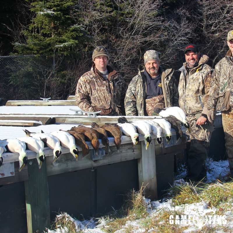 waterfowl harvest by Bold Coast Outfitters