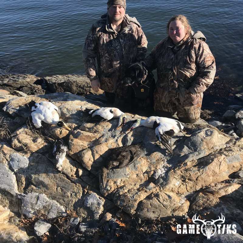 waterfowl harvest by Maine Experience Guide Service