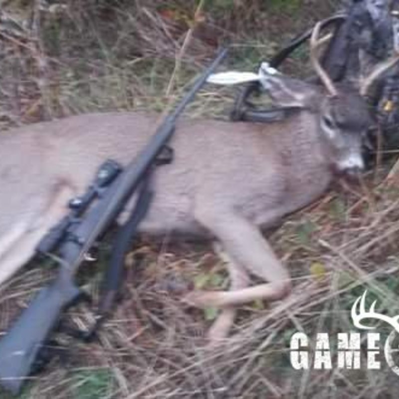 deer harvest by Thad Ballard