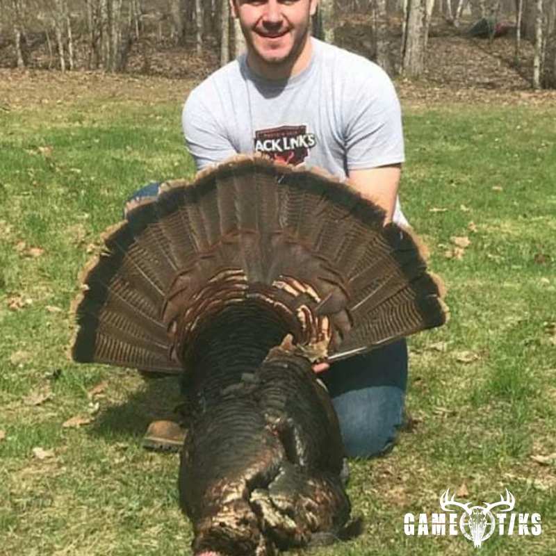 turkey harvest by Jonathan Curran