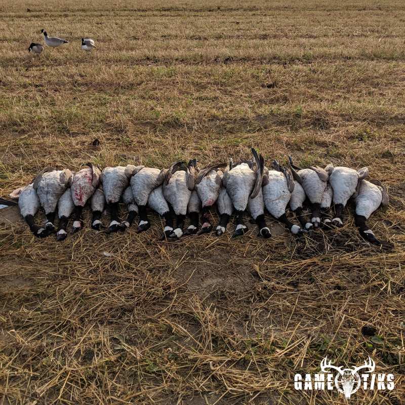 waterfowl harvest by Jonathan Curran