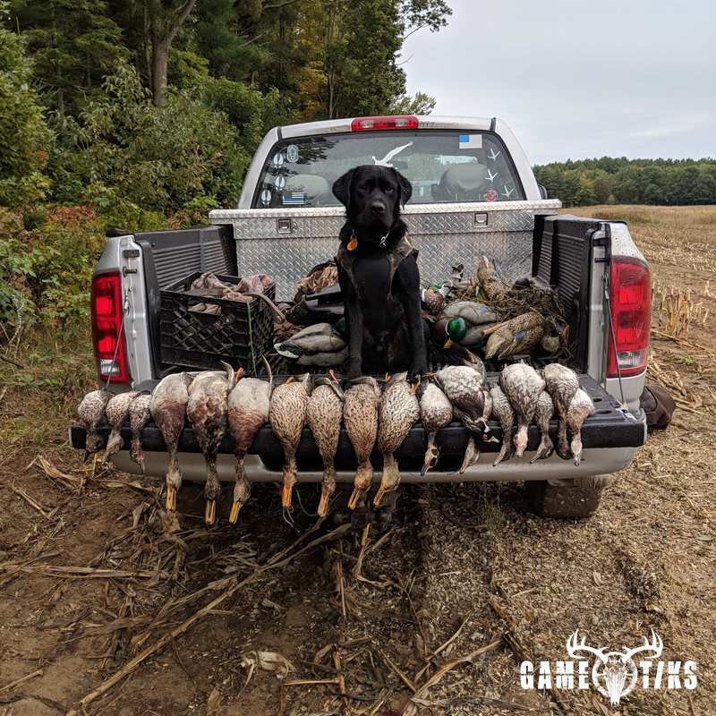 waterfowl harvest by Jonathan Curran