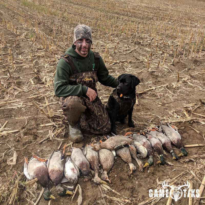 waterfowl harvest by Jonathan Curran