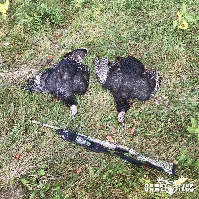 turkey harvest by James Henkel