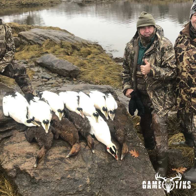 waterfowl harvest by Maine Experience Guide Service