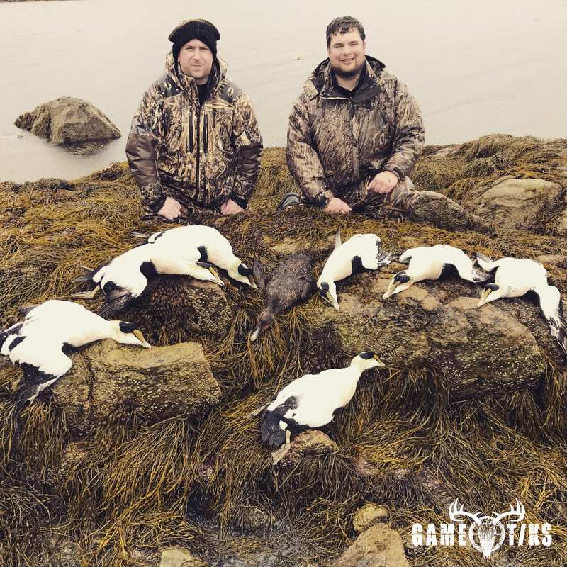waterfowl harvest by Maine Experience Guide Service