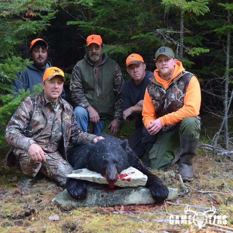 bear harvest by Dudley Brook Guide Service