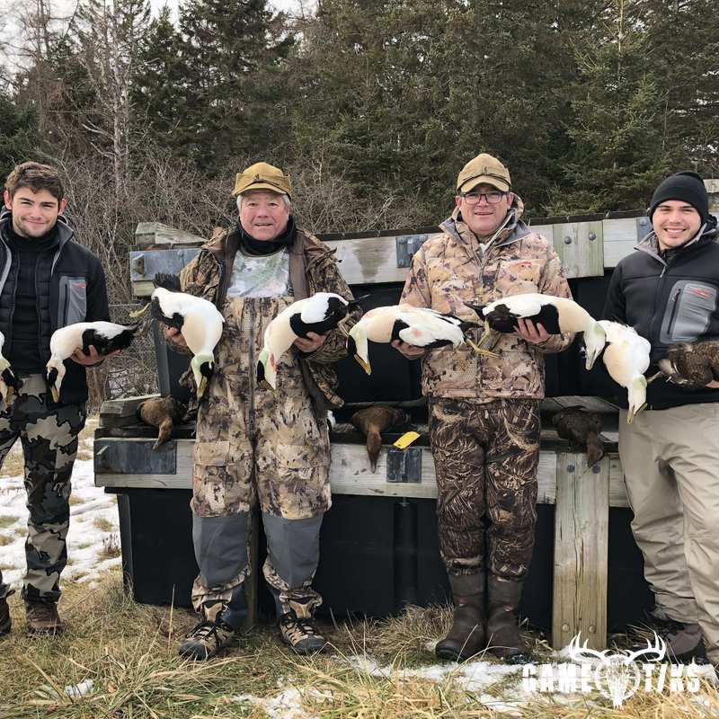 waterfowl harvest by Bold Coast Outfitters