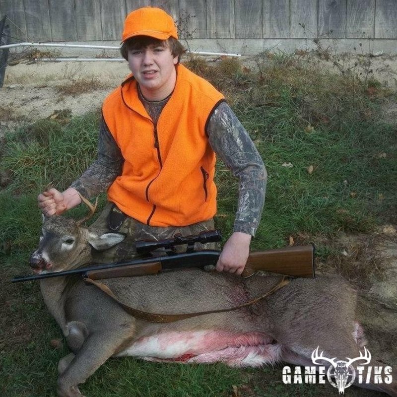 deer harvest by Tyler Curtis