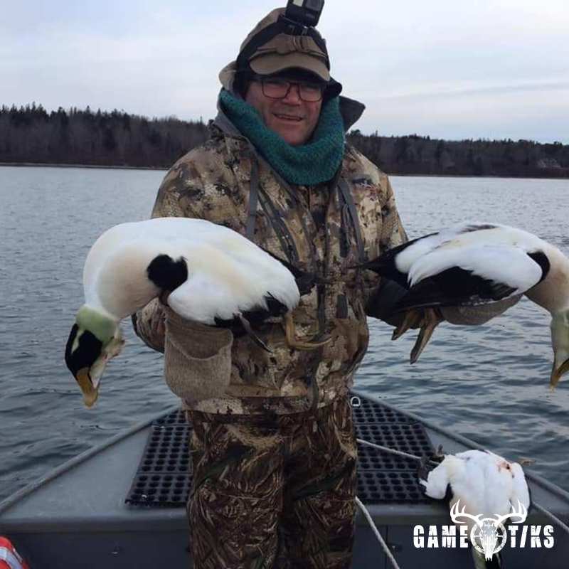 waterfowl harvest by Bold Coast Outfitters