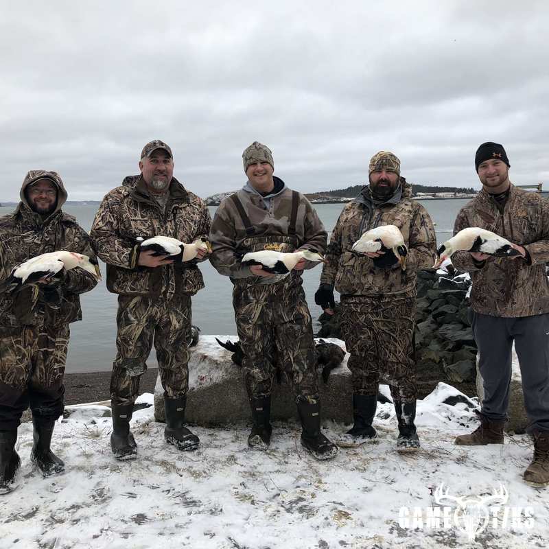 waterfowl harvest by Bold Coast Outfitters