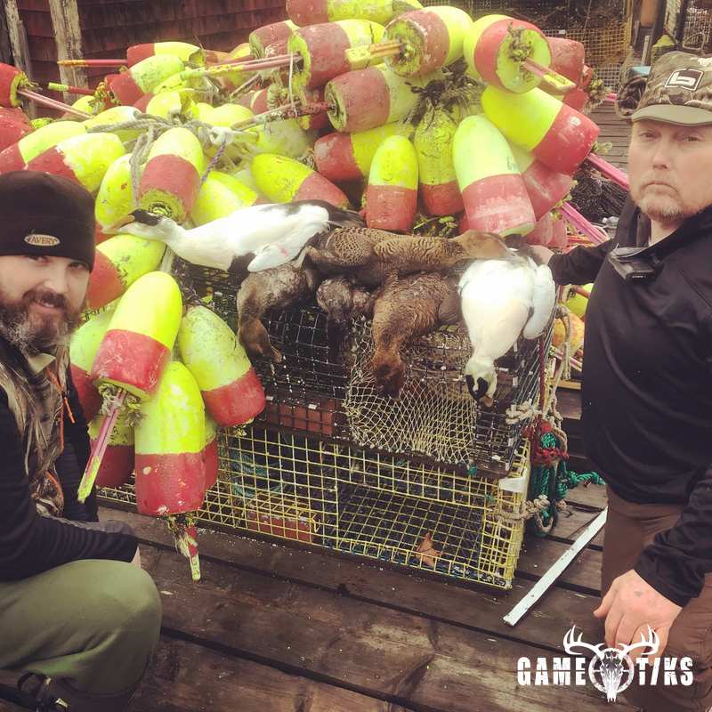 waterfowl harvest by Maine Experience Guide Service