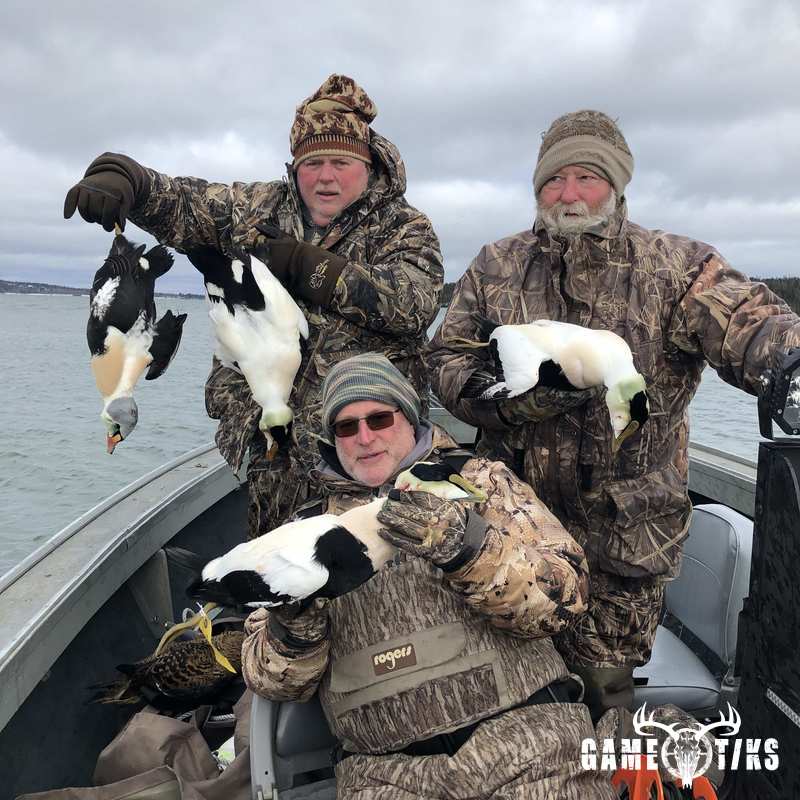 waterfowl harvest by Bold Coast Outfitters