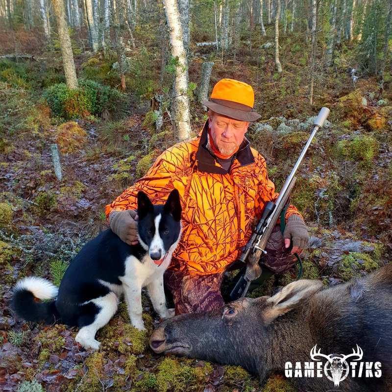 moose harvest by Isto Ojala