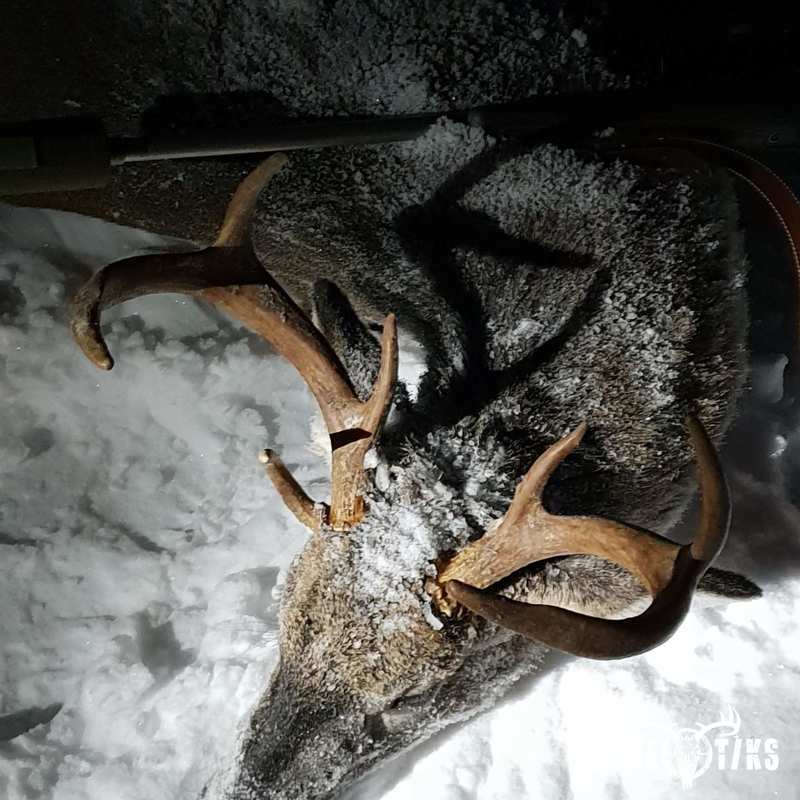deer harvest by Isto Ojala