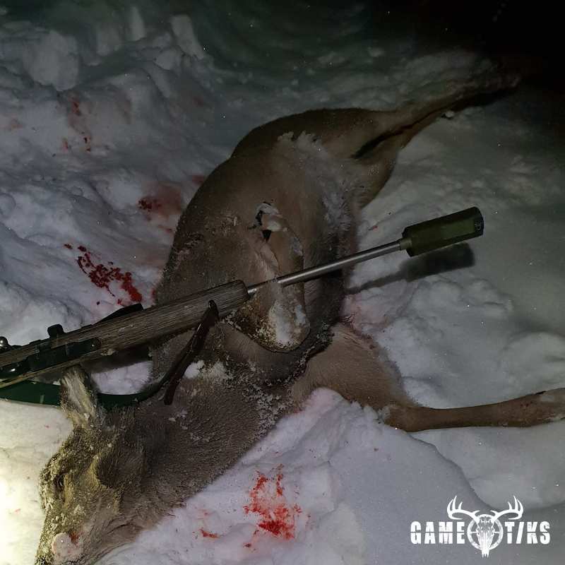 deer harvest by Isto Ojala