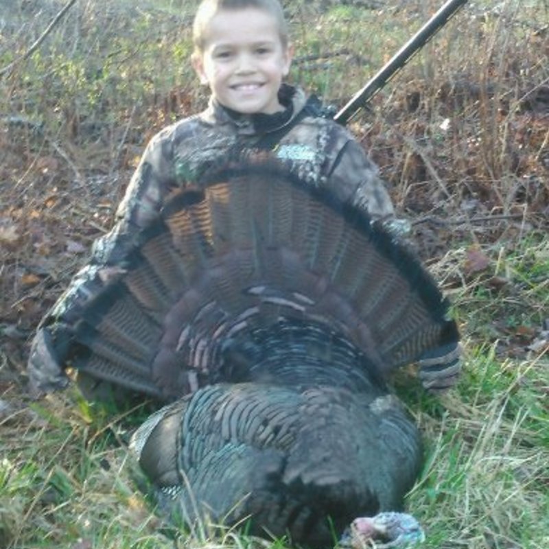 turkey harvest by Evan Fountain