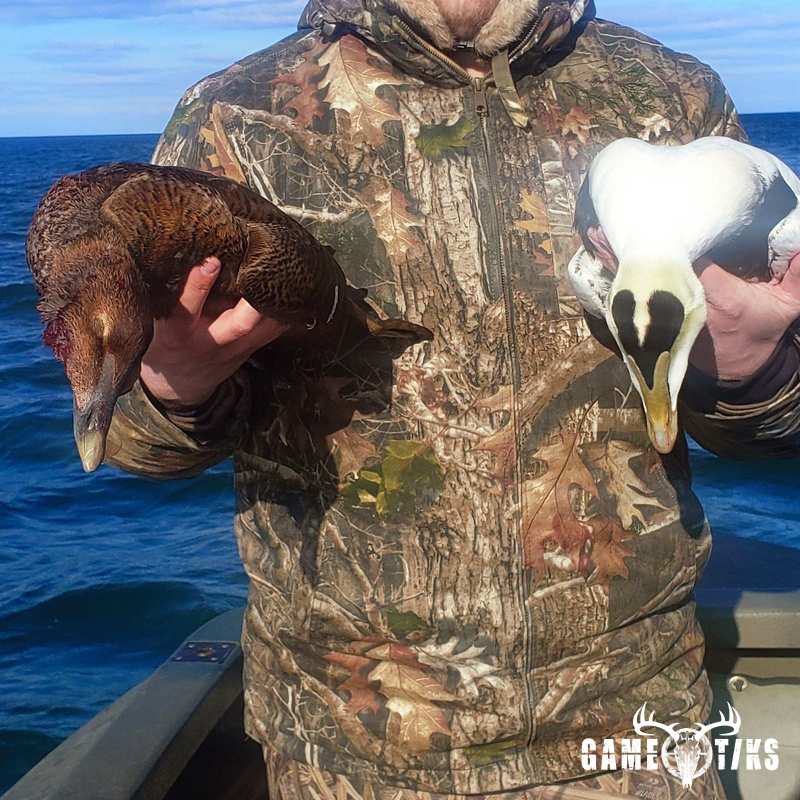 waterfowl harvest by Marsh River Outfitters