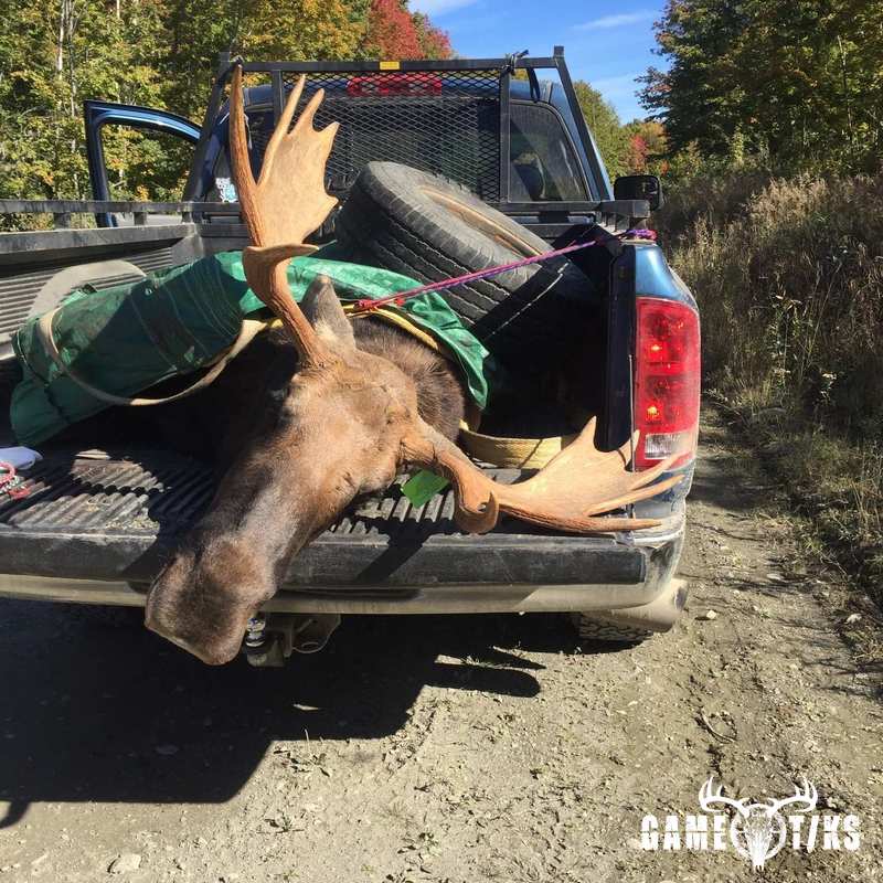 moose harvest by Denise Archambeau