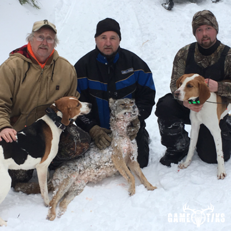 canine harvest by Operation ReBoot Outdoors