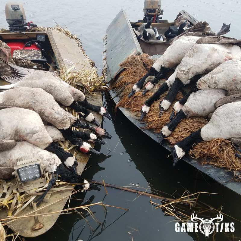 waterfowl harvest by The RiverRats Waterfowl Hunting