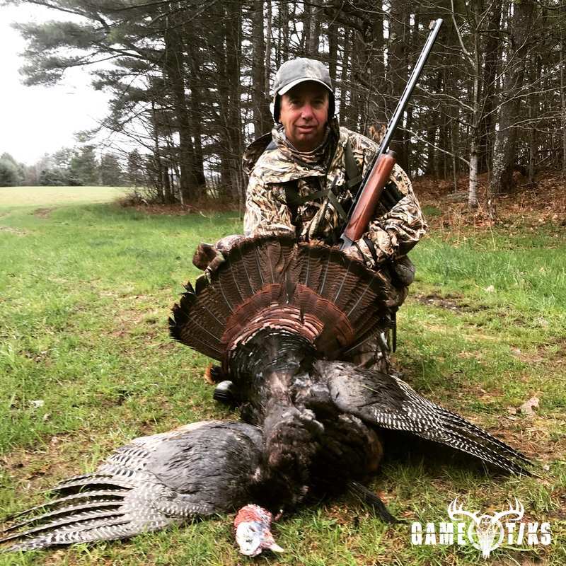 turkey harvest by Maine Experience Guide Service