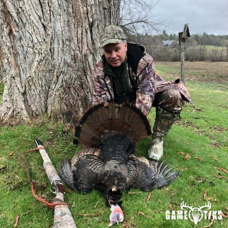 turkey harvest by Maine Experience Guide Service