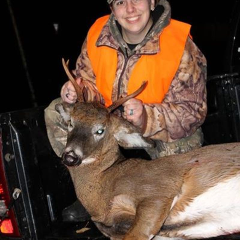 deer harvest by Melissa Curry