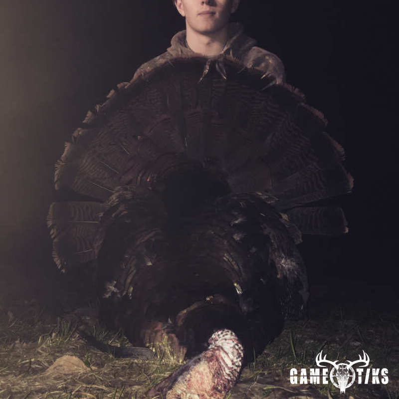 turkey harvest by Nathaniel R Porter
