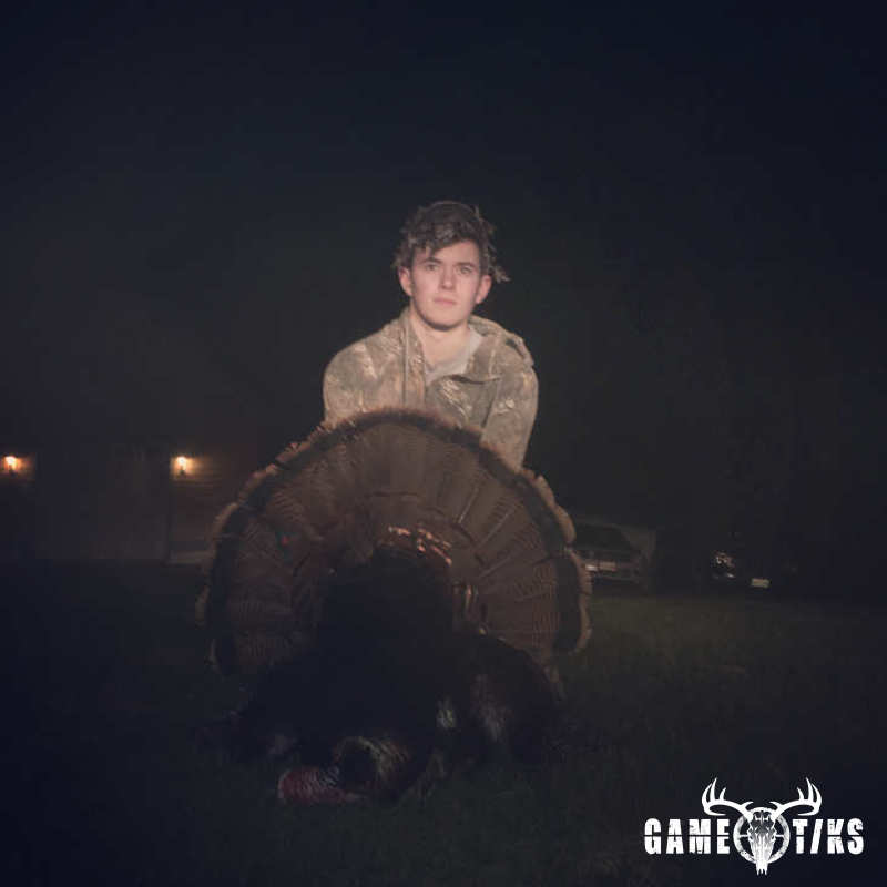 turkey harvest by Nathaniel R Porter