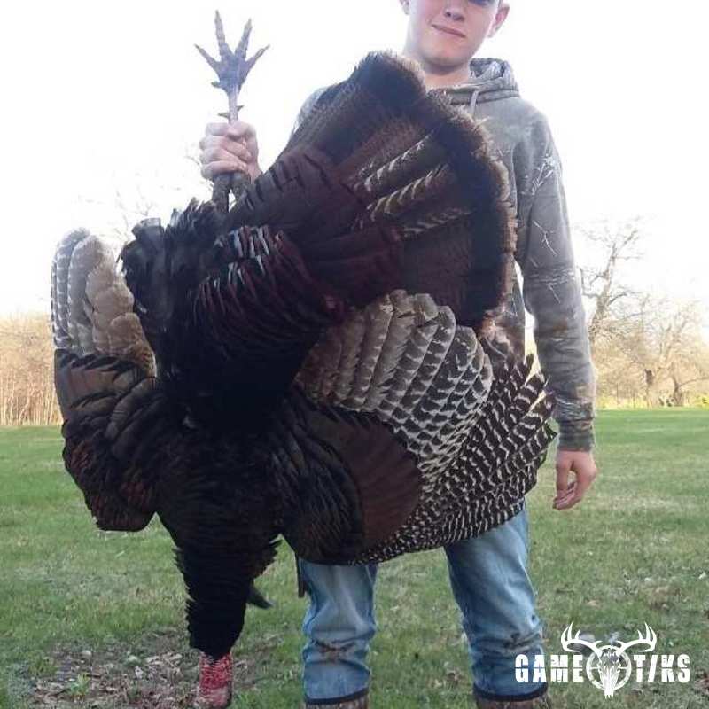 turkey harvest by Nathaniel R Porter